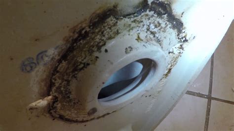 upstairs toilet leaking|Upstairs Toilet Overflowed And Leaked Through Ceiling[Do’s